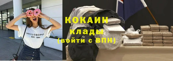 МДПВ Алзамай